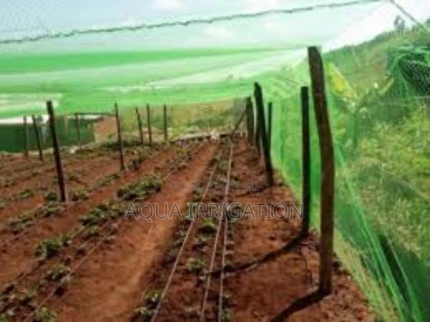 Ensure Healthy Growth With Our Bird Netting - main view