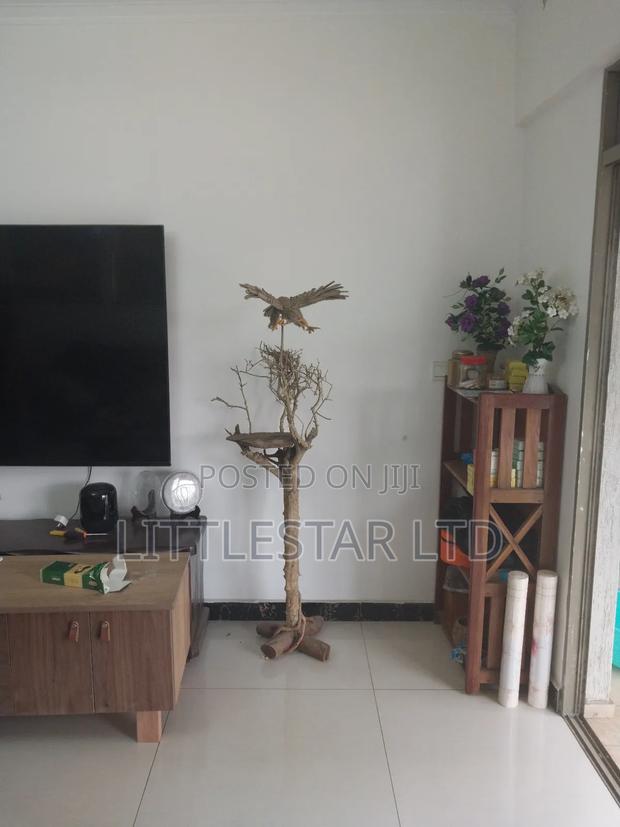 Furnished 3bdrm Apartment in Sykrock, Hurlingham for sale - thumbnail 9