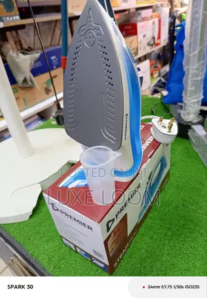 Electric Steam Iron Box