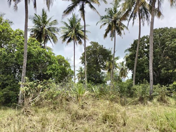 36 Acre Farmland on Sale in Mabokoni! 