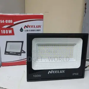 Slim Outdoor Flood Light Neelux 100w Electricity/Ac Light