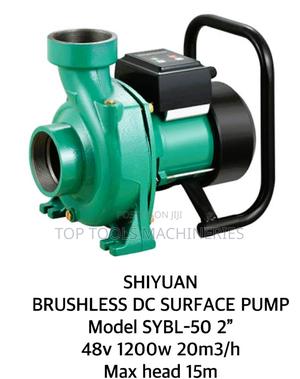 Shiyuan Brushless Dc Surface Waterpump 1200w With Controller - thumbnail 2