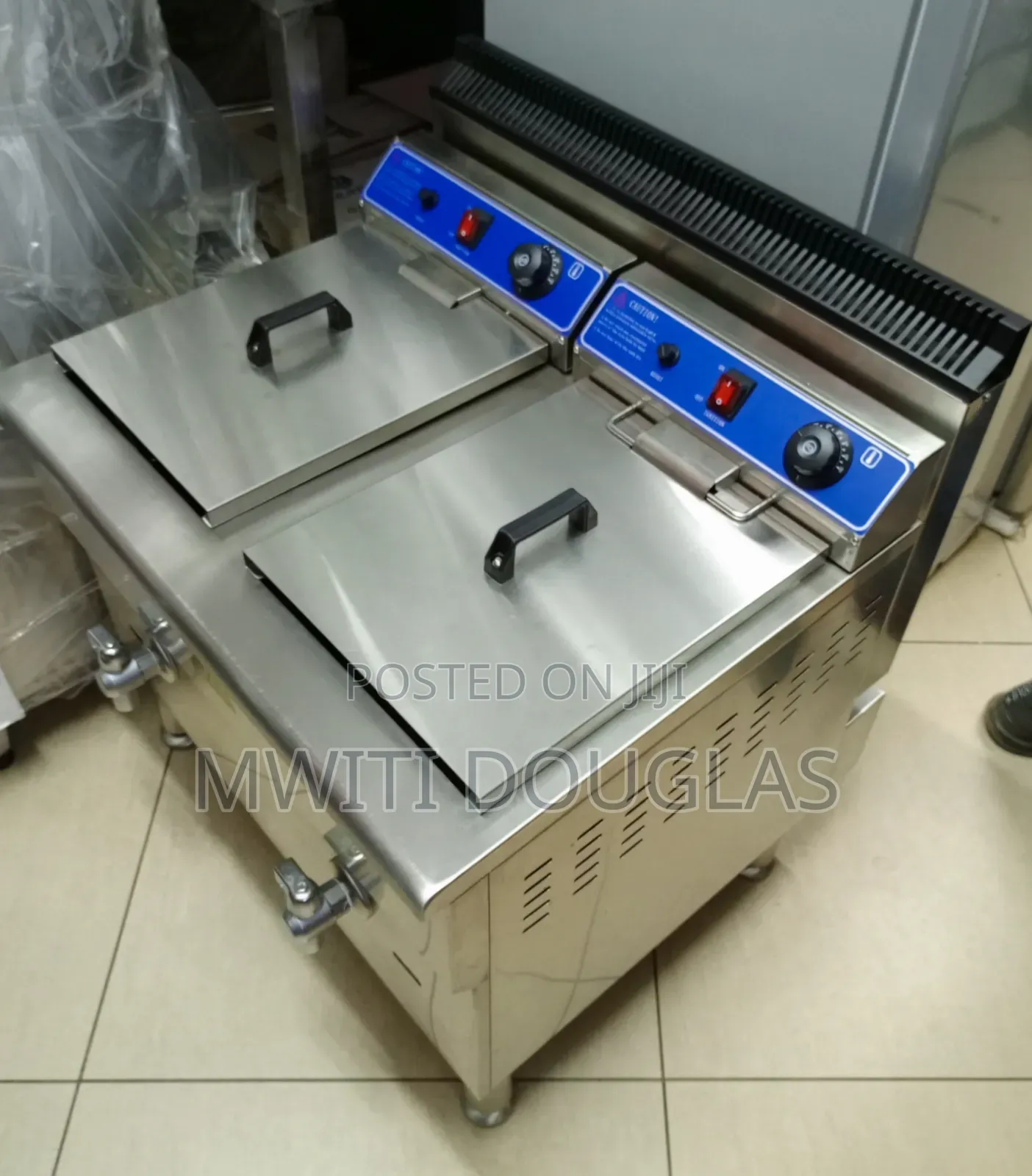 Top Executive Imported Electric Chips Fryer 