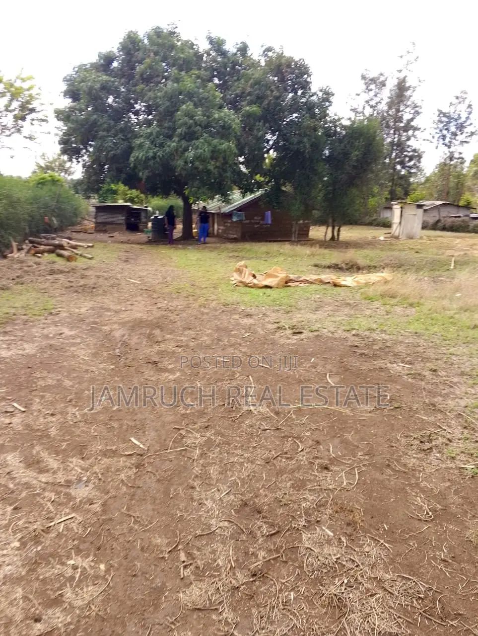 Kirinyaga County Prime 50x100plots in Makutano (Mwea) PI