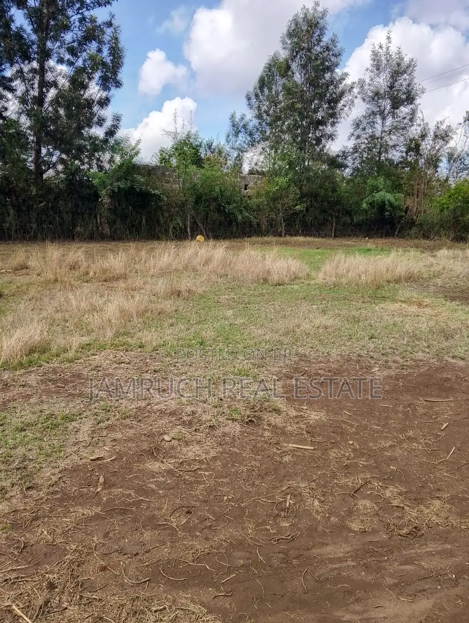 Kirinyaga County Prime 50x100plots in Makutano (Mwea) PI