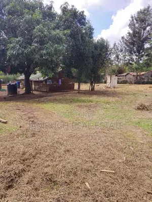 Kirinyaga County Prime 50x100plots in Makutano (Mwea) PI