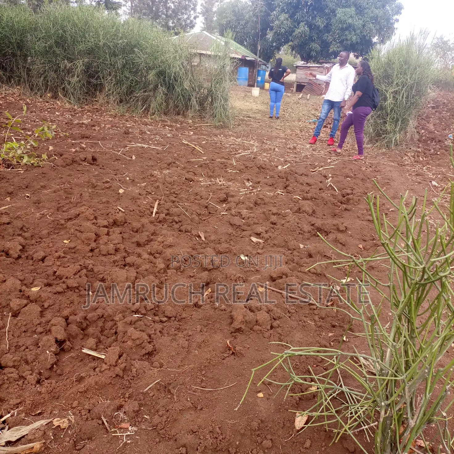 Kirinyaga County Prime 50x100plots in Makutano (Mwea) PI