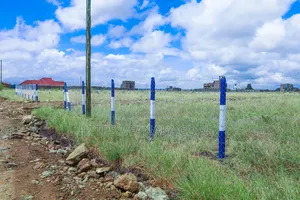 Plots on Christmas Offer ^MA