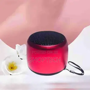 Caston Portable Wireless Speaker