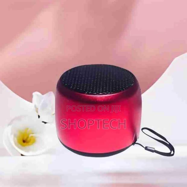 Caston Portable Wireless Speaker - main view