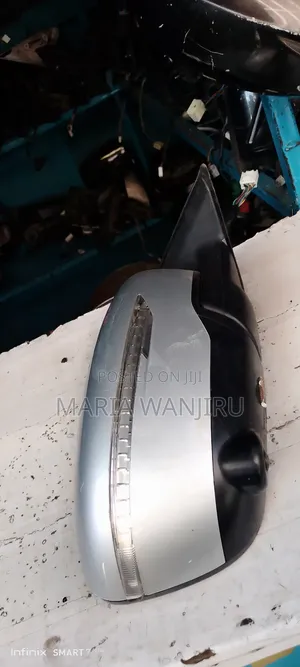 Clean Ex Trail NT 32 Camera Side Mirror