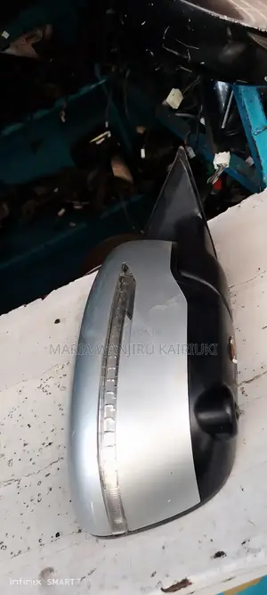 Clean Ex Trail NT 32 Camera Side Mirror