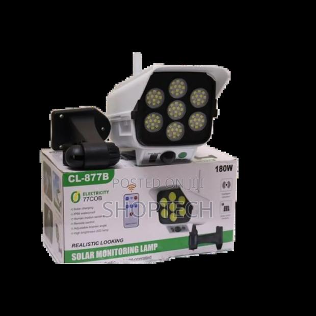 Solar Monitoring Lamp