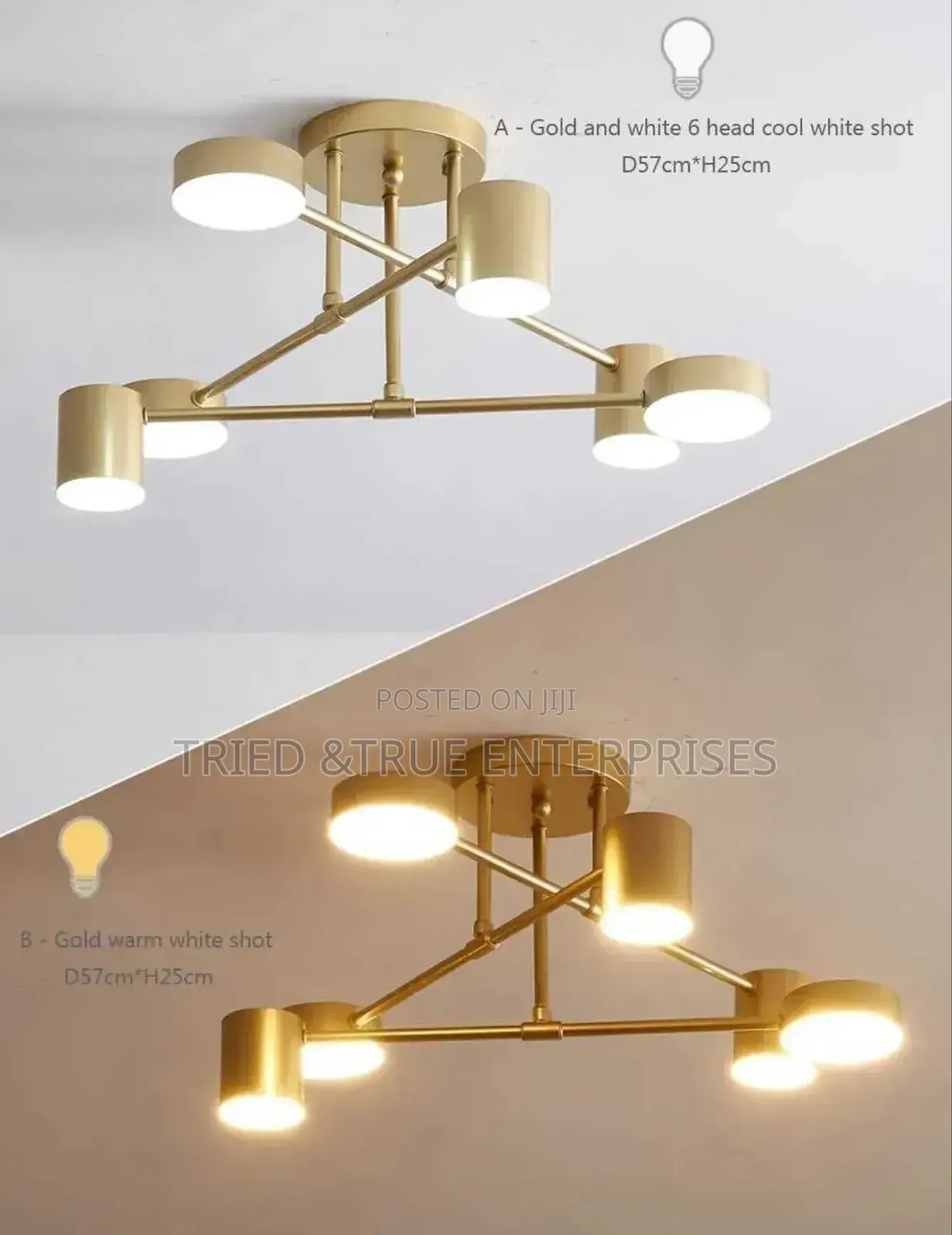 6 Lights Sputnik LED Ceiling Chandelier Lights Tfe8