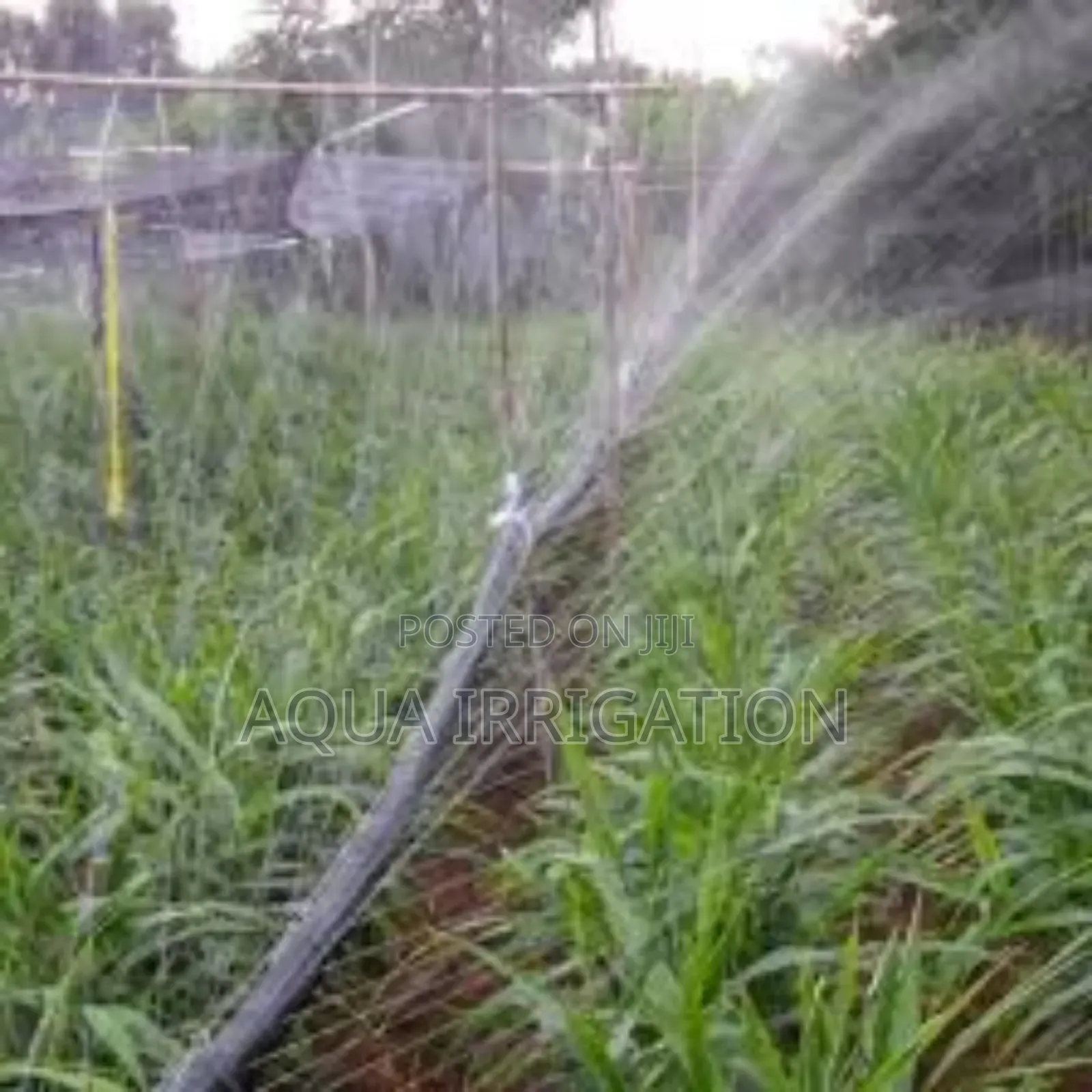 Aquarain: Reliable and Resilient