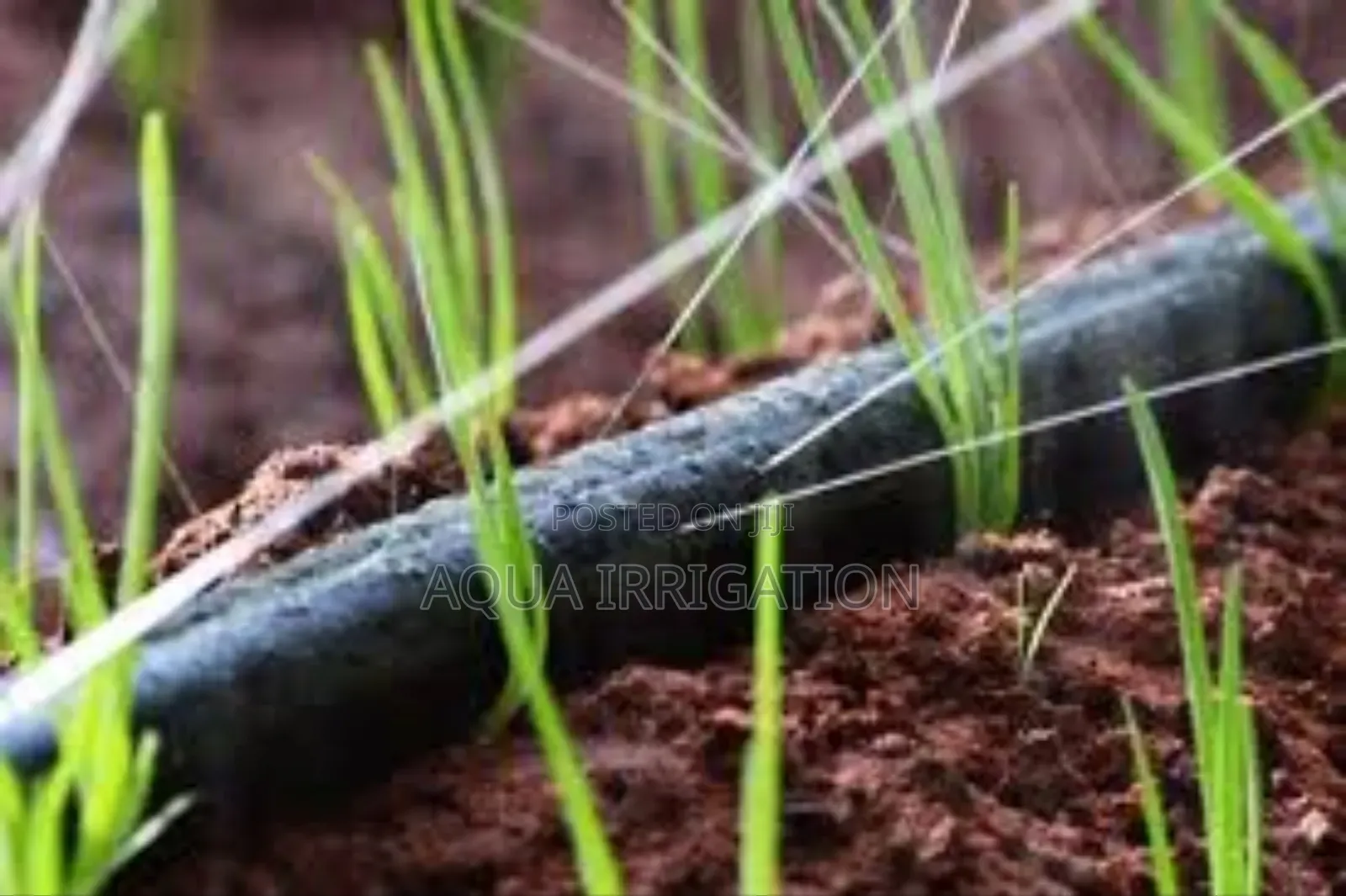Weatherflow: Durable Rain Hoses