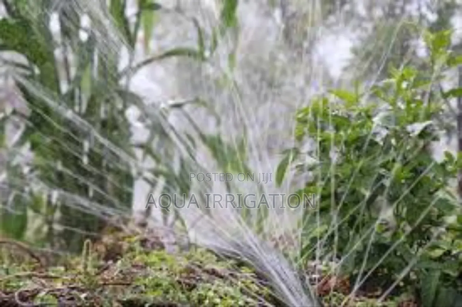 Aquaguard Rain Hoses Available