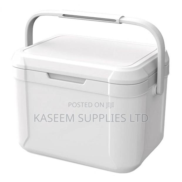 A High-Capacity Cooler Box Designed for Safe Transportat - main view