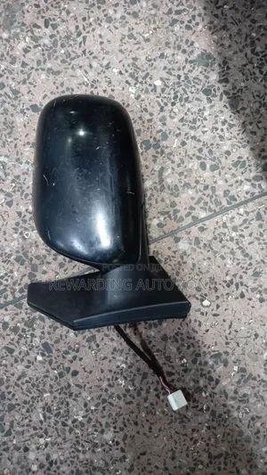 Fielder/Nze 2005.Side Mirrors