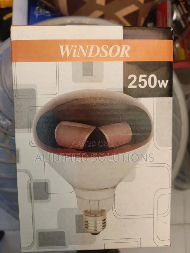Infrared Bulb<>Windsor Chicken Bulb - main view