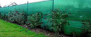 Green Fencing Net