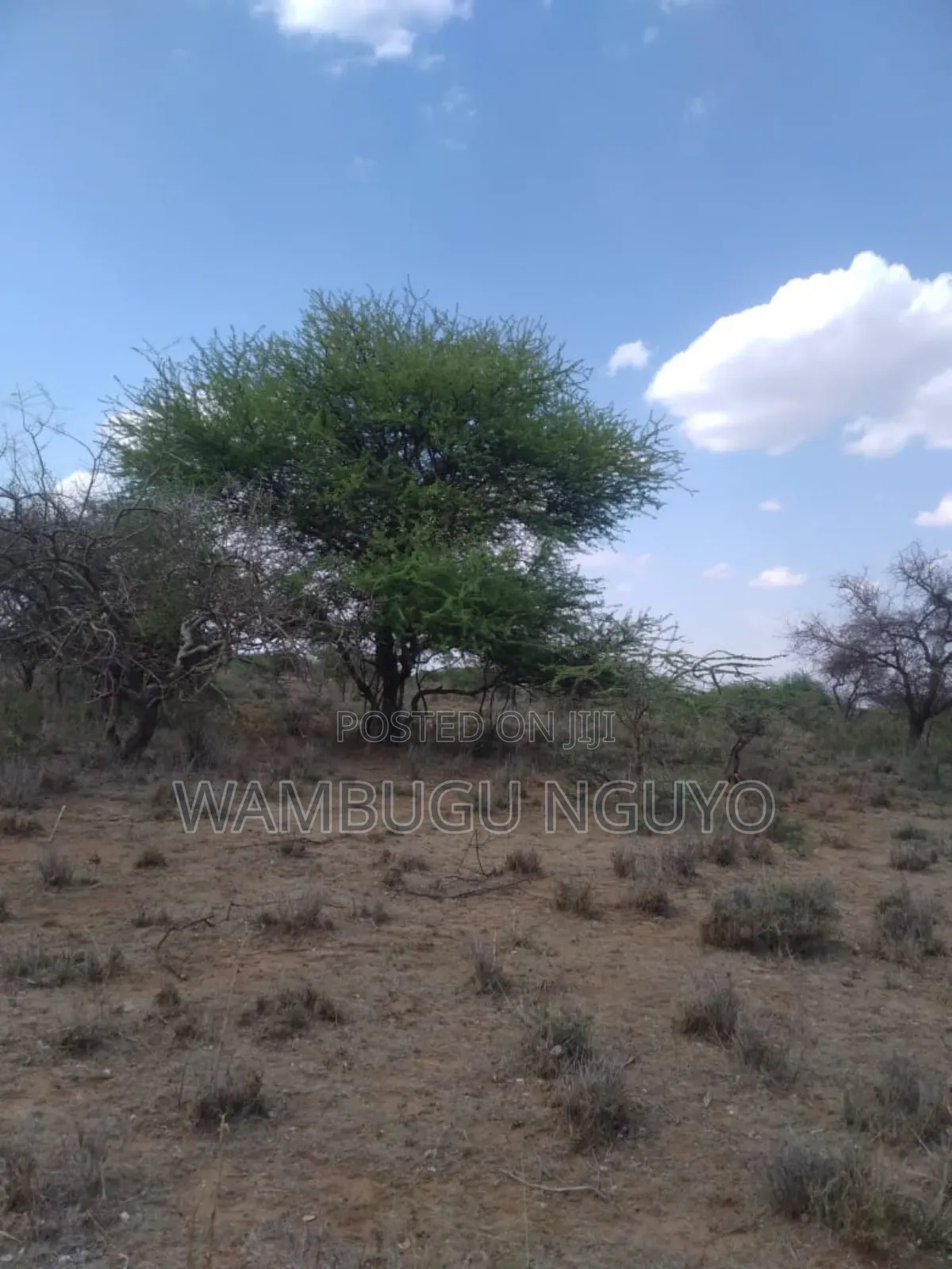 Land 7 Acres in Ewaso Kedong