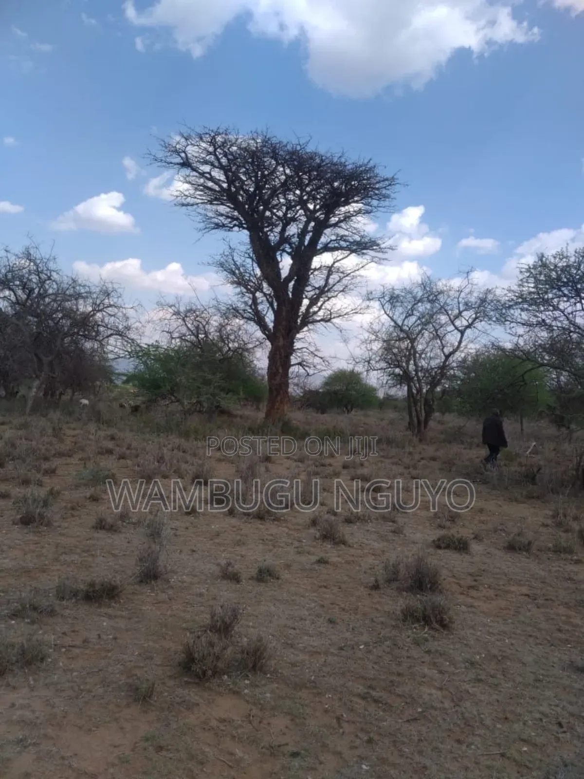 Land 7 Acres in Ewaso Kedong