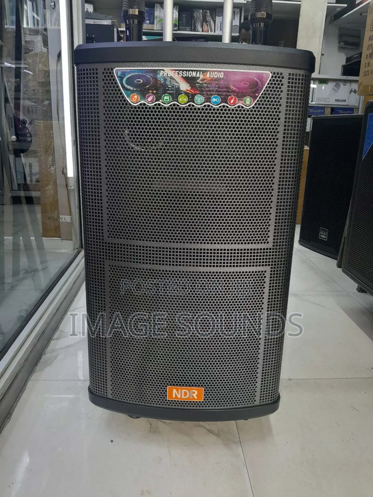 Powerful Portable Speaker 15inch PA