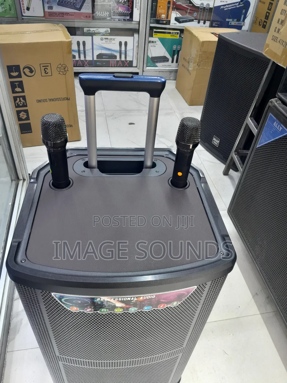 Powerful Portable Speaker 15inch PA