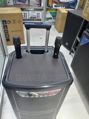 Powerful Portable Speaker 15inch PA