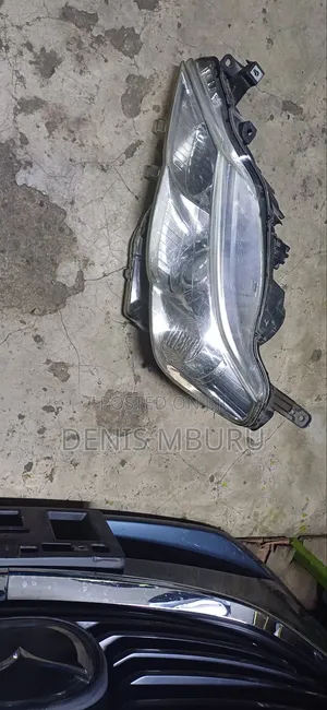 Mark X 2010 Model Xenon Headlight