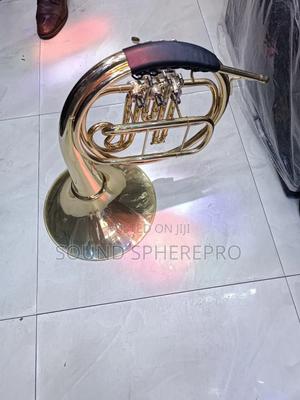 Fench Horn Wind Instrument - thumbnail 2