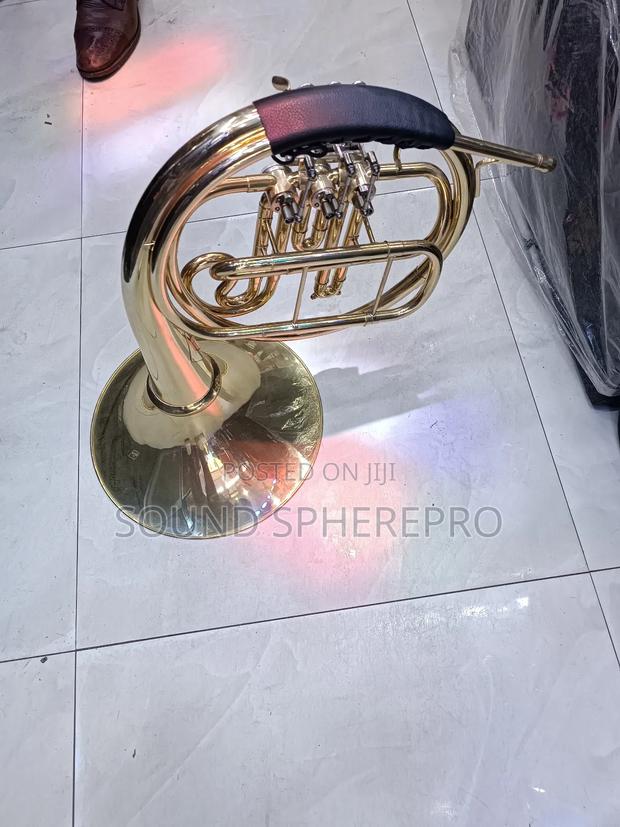 Fench Horn Wind Instrument - main view
