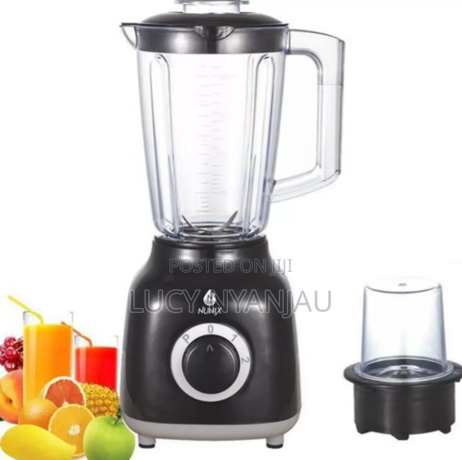 Nunix 2in1 Blender With Grinder