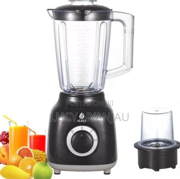 Nunix 2in1 Blender With Grinder