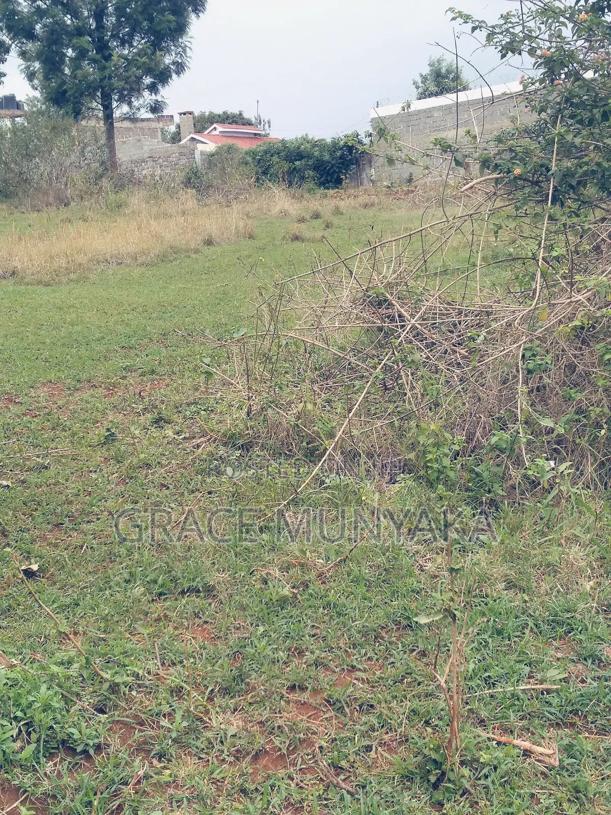 1/8 Acre Upper Thunguma Nyeri Town Constituency