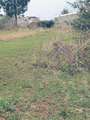 1/8 Acre Upper Thunguma Nyeri Town Constituency - thumbnail 2