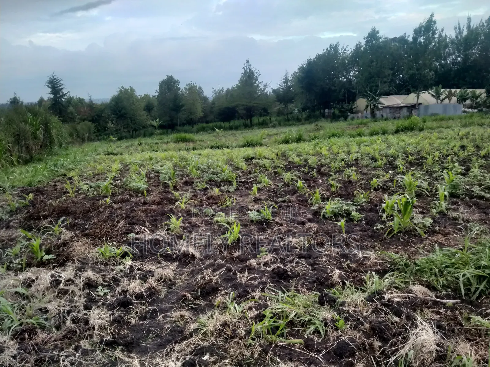 One Acre Piece of Land in Ngong Matasia, Merisho Road Tarmac