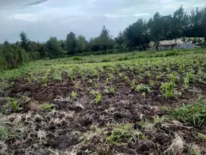 One Acre Piece of Land in Ngong Matasia, Merisho Road Tarmac