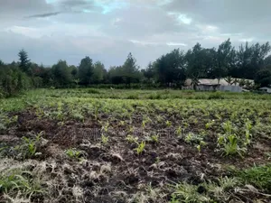 One Acre Piece of Land in Ngong Matasia, Merisho Road Tarmac