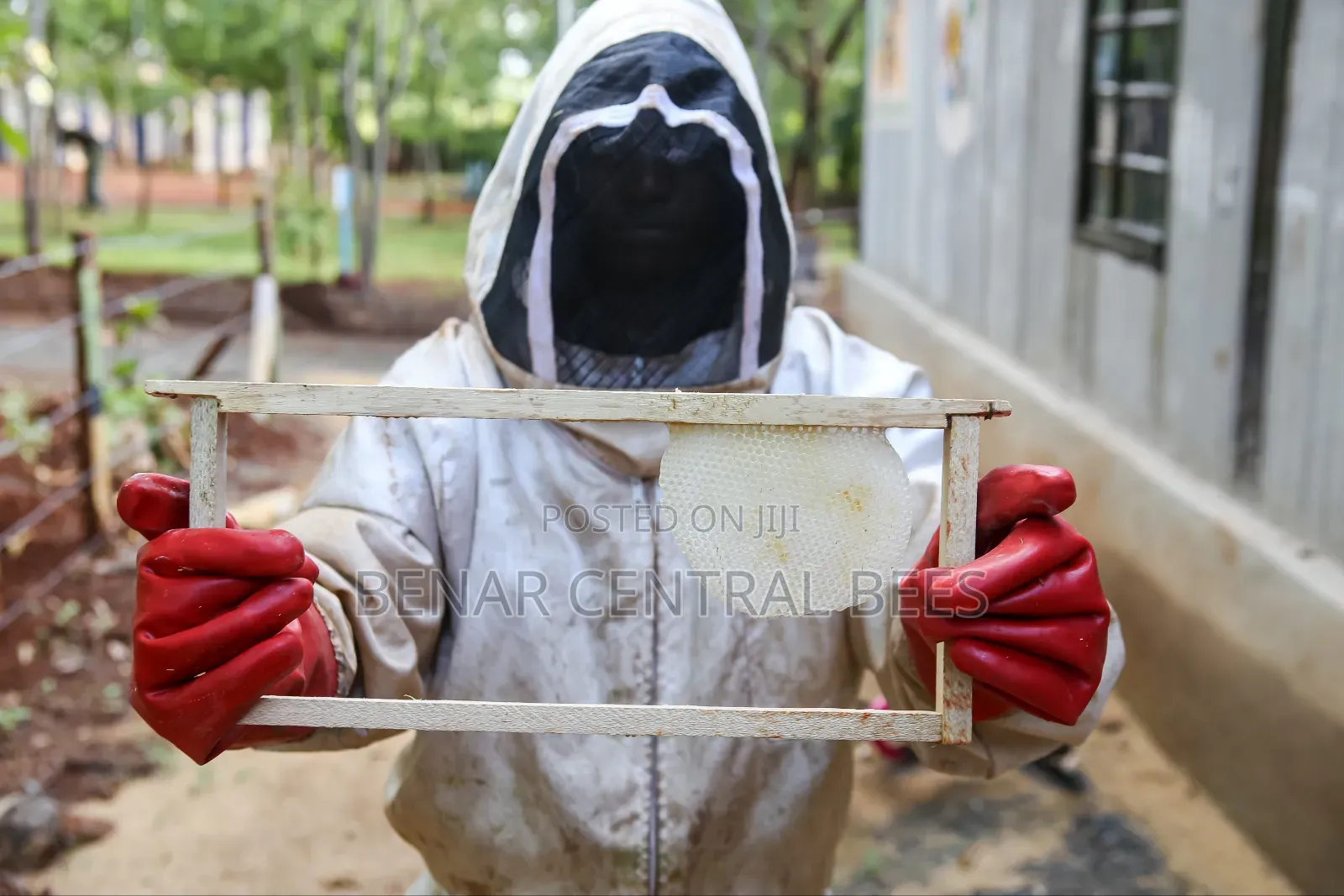 Bee Suits/ Safety Gear