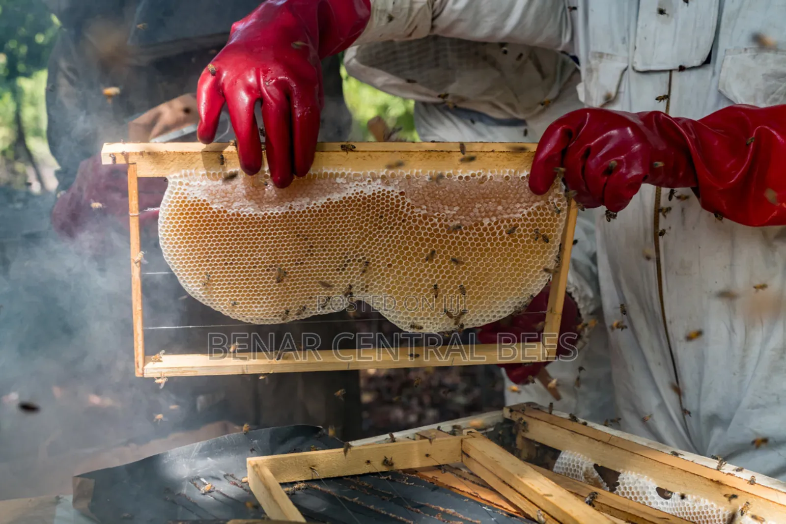 Bee Suits/ Safety Gear