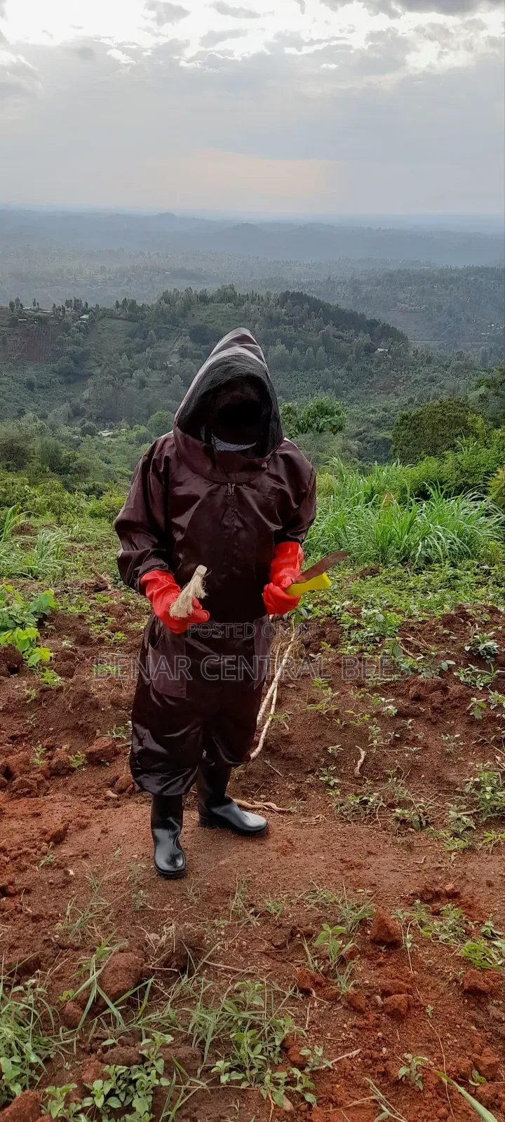 Bee Suits/ Safety Gear