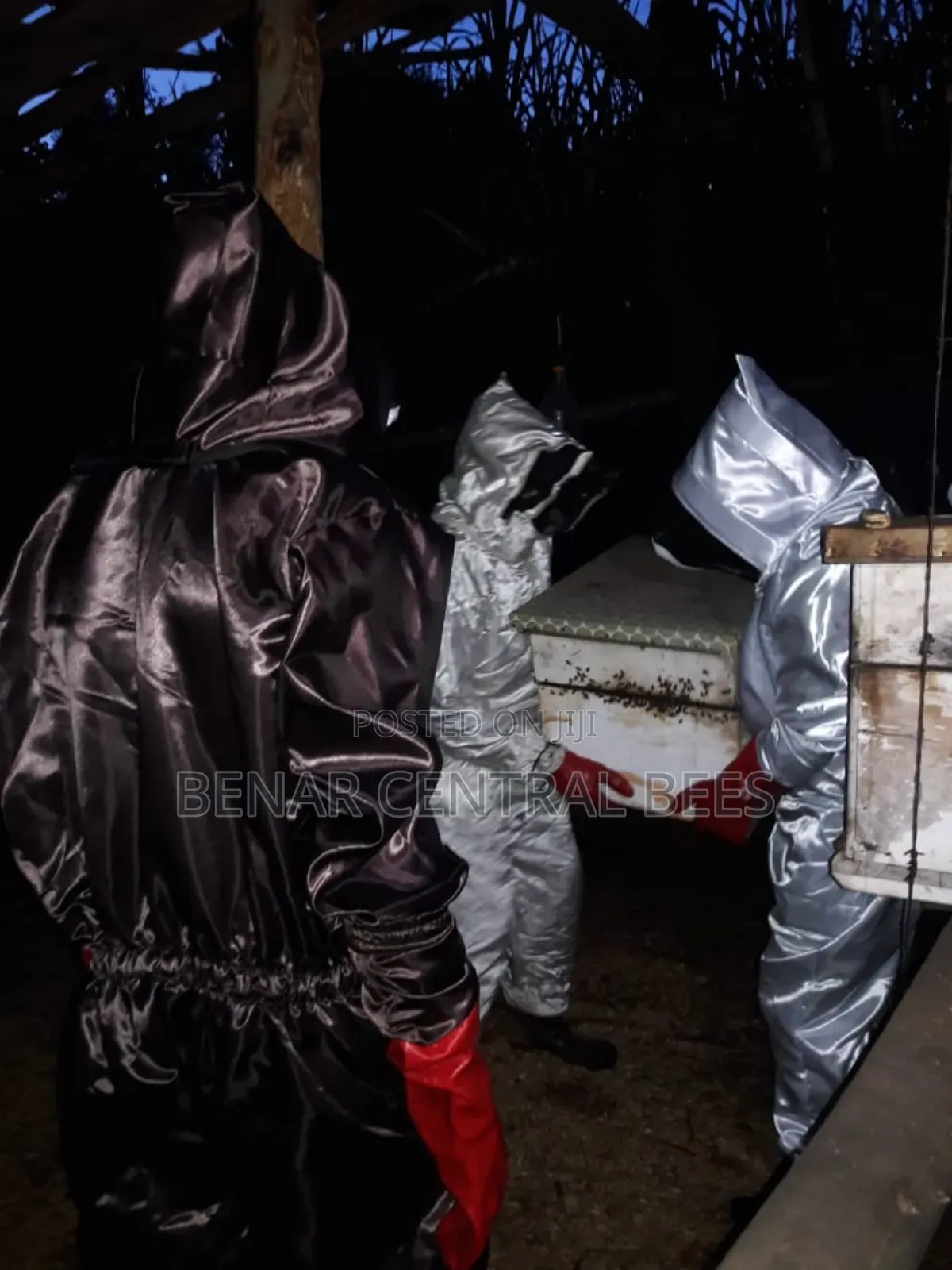 Bee Suits/ Safety Gear