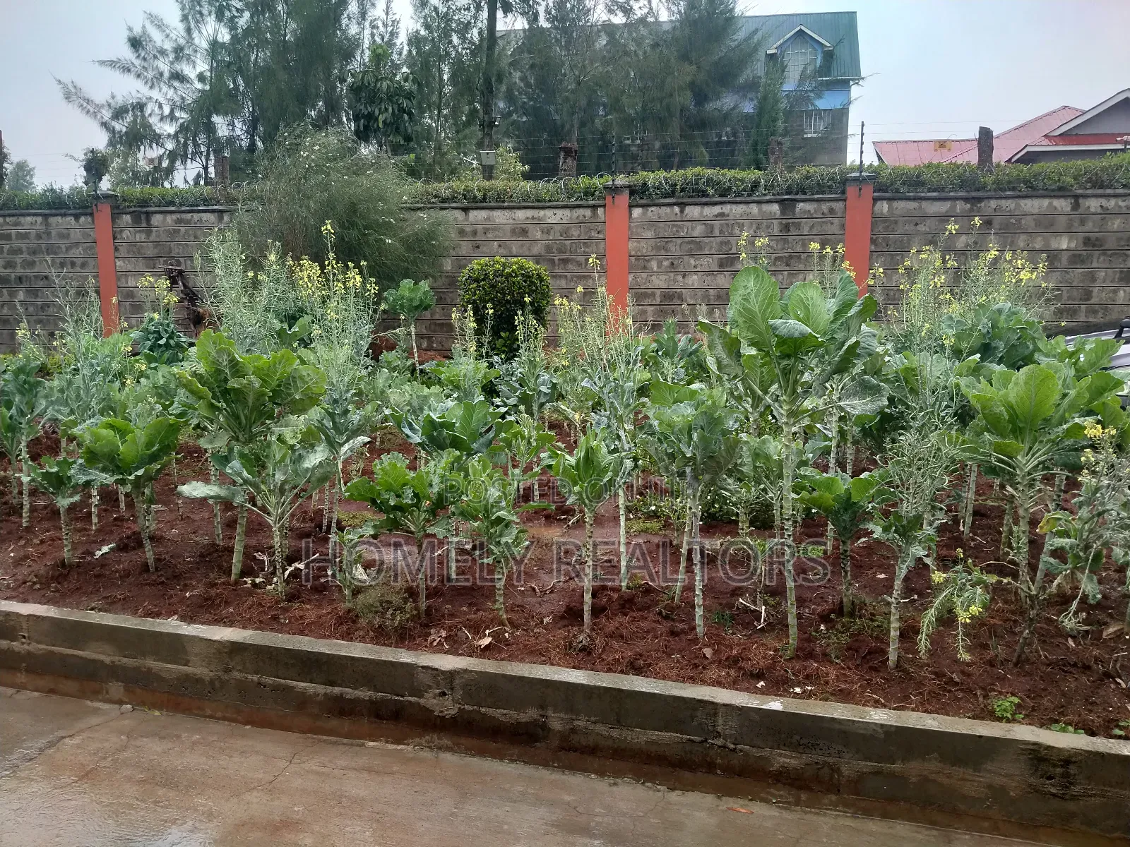 4bdrm Bungalow in Ngong, Vet Hill Top for sale