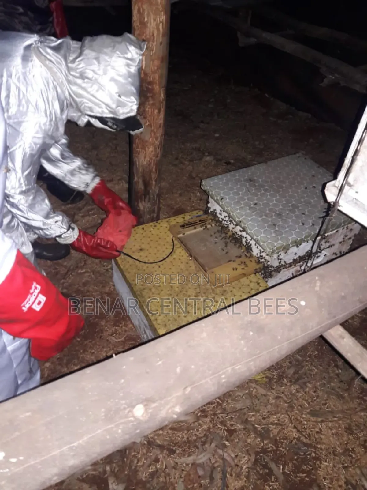 Bee Suits/ Safety Gear
