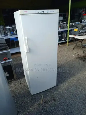 Commercial 200l Chest Freezer