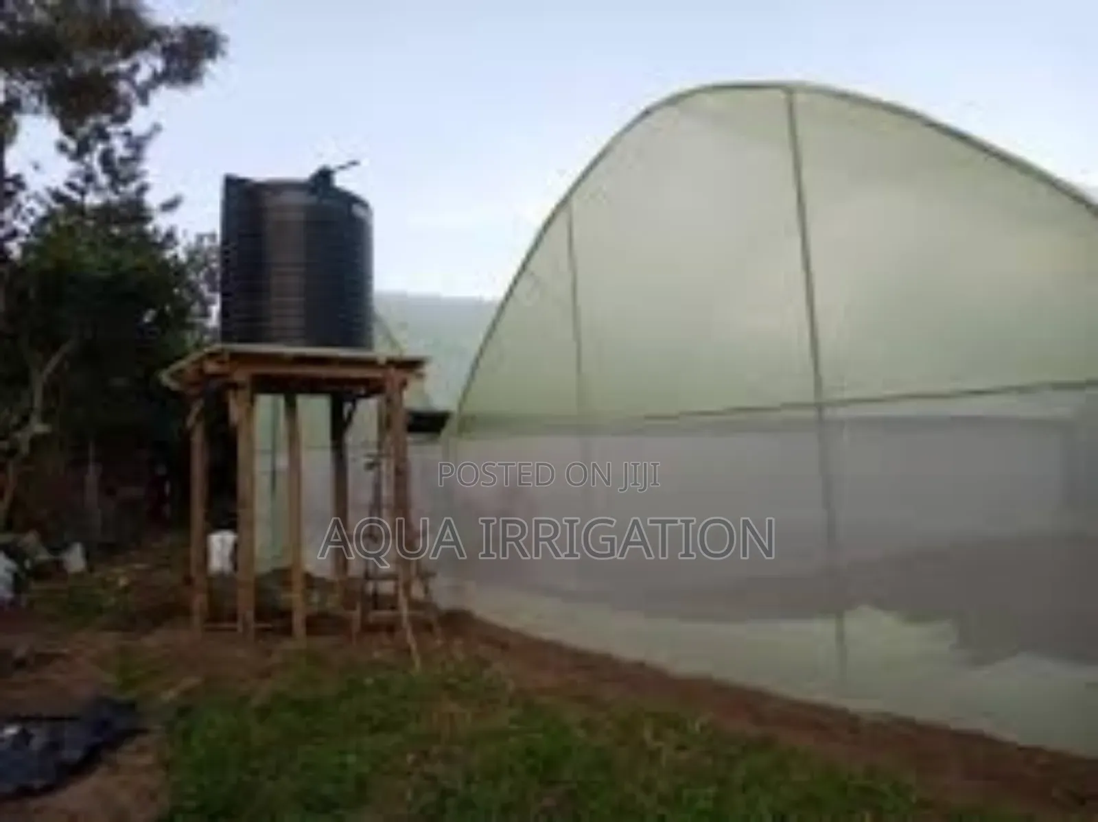 Premium Greenhouse Films