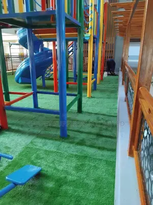 Low Maintenance Grass Carpet3