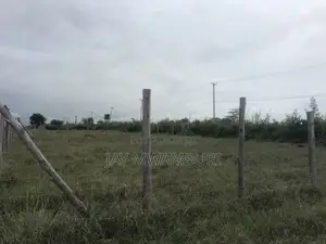 Commercial 100 by 50 Katani Lease
